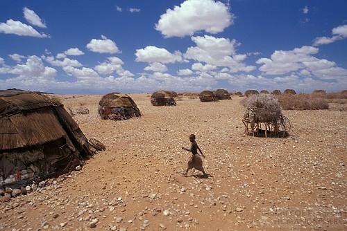 フィールド写真：北ケニアのラクダ遊牧民レンディーレ
