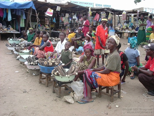 ザンビア西部州における生計活動の再編―移動性の高い女性による 現金稼得から―