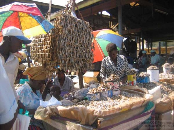 フィールド写真：Owino Market・干し魚