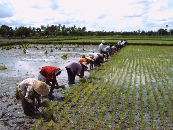 Field Station of Myanmar