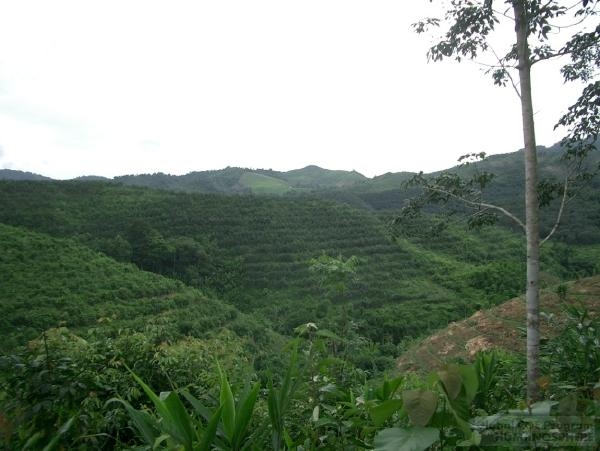 The Laos Field Station