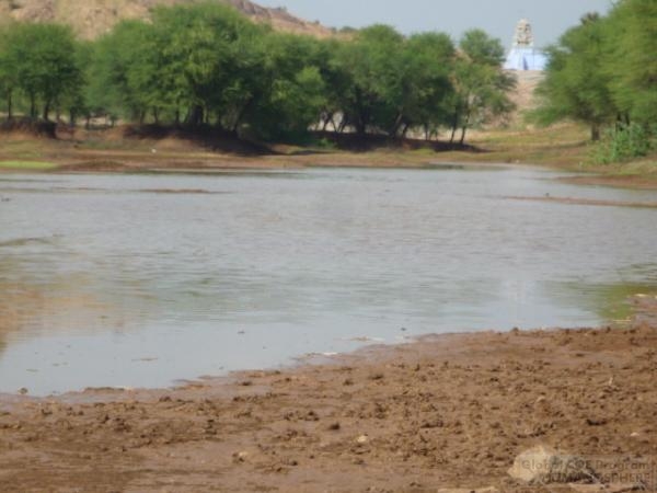 INDIA - Field station