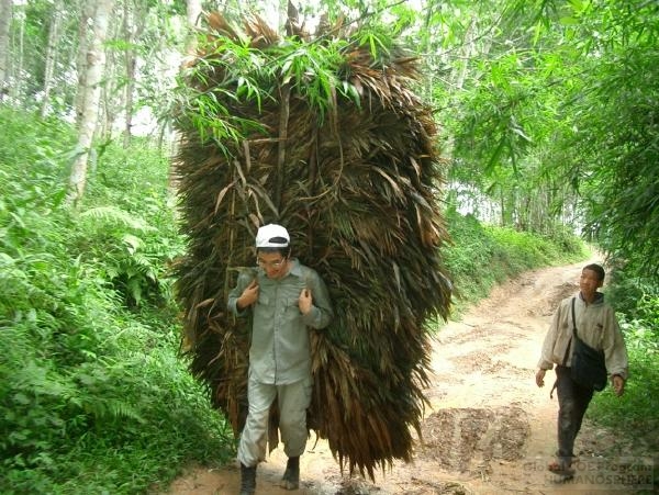 The Laos Field Station