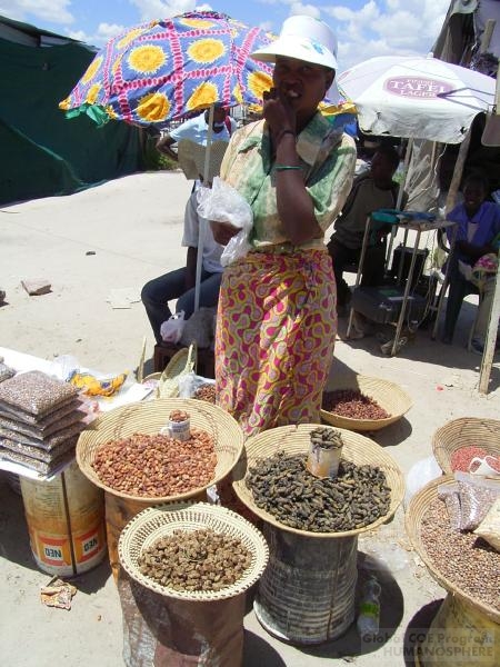 フィールド写真：ナミビアの食用昆虫15マーケットで食用昆虫を売る女性