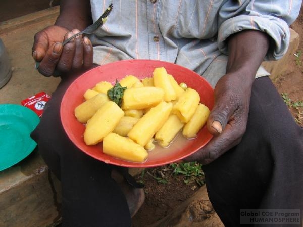 フィールド写真：バナナ料理マトケ（matooke amasuulemu）

