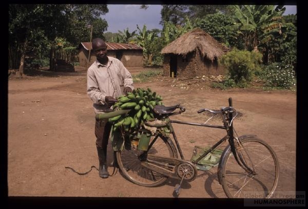 フィールド写真：農村でのバナナの買い付け