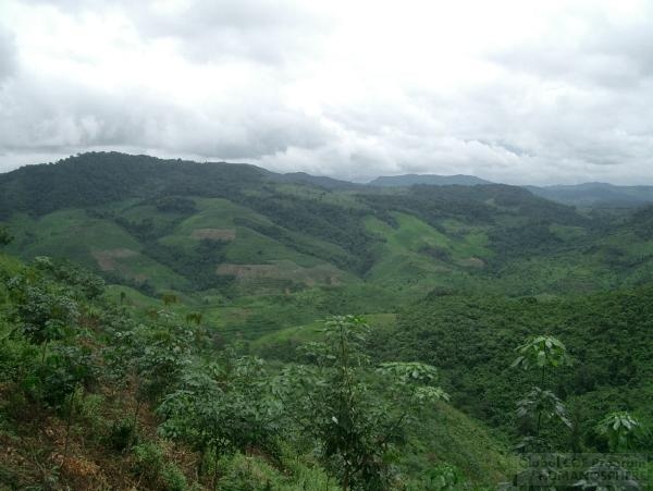 The Laos Field Station