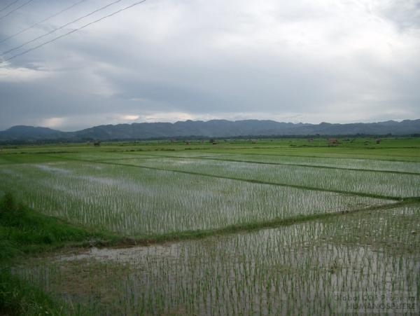 The Laos Field Station