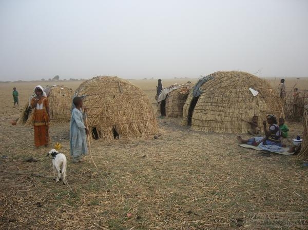 フィールド写真：牧畜民ボロロの住居