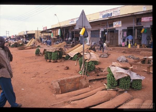 フィールド写真：トラックを待つバナナ（Wobulenziの町）