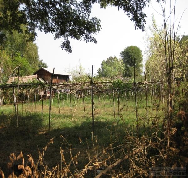 Field Station of Myanmar