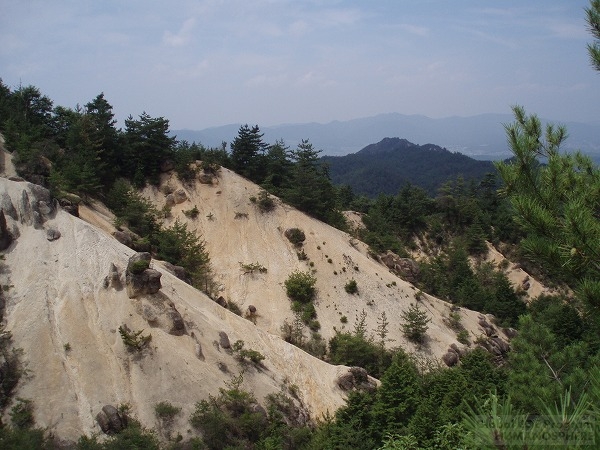 山地河川の水流量に対する森林利用の影響はどのように評価すべきか？