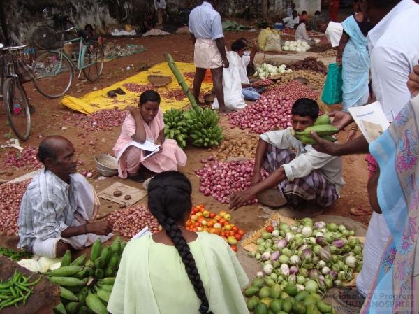 INDIA - Field station