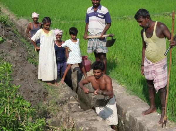 ため池からの導水路を浚渫する農民