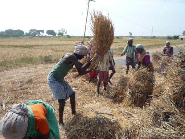 INDIA - Field station