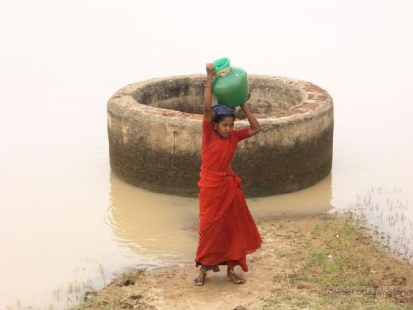 INDIA - Field station