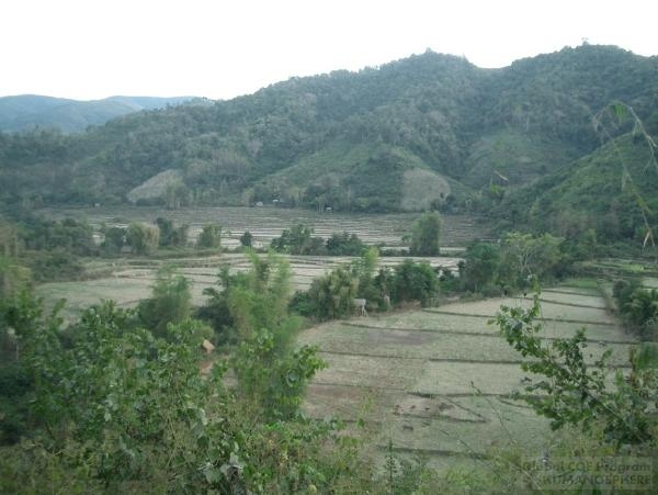 The Laos Field Station