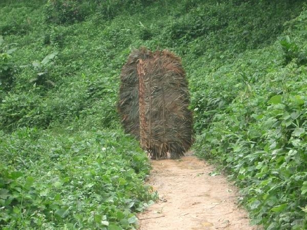 The Laos Field Station