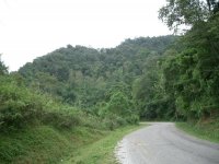 Natural Forest in Namha National Park, Luang Namtha Province (Jul. 2008, Mr. Shinichi Kawae)