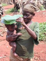 カメルーンに暮らす狩猟採集民バカ・ピグミーは、植物をさまざまな方法で利用します。赤ちゃんは、植物で作った日傘で守られます。
撮影：服部志保, 2004年