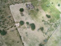 凧につけたカメラから撮影した、ナミビア北部農村のある世帯の住居と畑です。ヤシやマルーラという在来の果樹が点在しているのが特徴的です。撮影：藤岡悠一郎, 2005年3月