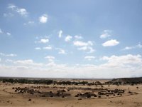 アリアールの環状集落（マルサビット県、2007年）
この写真のコラムを読む→北ケニア牧畜民・アリアールが経験した2007年総選挙（内藤直樹）
