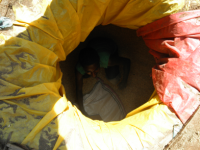 写真3．
ハラールの地下貯蔵庫「ボッラ」から穀物を取り出す男性

Report
Date Taken: 
Place: 
Taken by: 