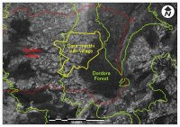 （黄色い線が調査地区。赤い線が調査した村。
背景1984年に撮影された航空写真。緑の真ん中の線が標高2500ｍ）
Report
■Date taken: 1985年1月15日
■Place: South Ari District, South Omo Zone, Southern Nations, 
Nationalities, and People's Region
■Taken by: Ethiopian Mapping Authority