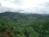 Mosaic Land Use of the Forest, Luang Namtha District, Luang Namtha Province (Aug. 2008, Mr. Shinichi Kawae)