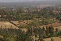 エチオピア西南部・アゲレサラームの景観とホーム・ガーデン
Report(Date taken:  / Place:  / Taken by )