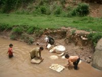 Washing Rubber Latex, Luang Namtha District, Luang Namtha Province (Jun. 2008, Mr. Shinichi Kawae)