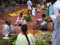 Marketing the vegetables – An assessment in the tank command area
(Date taken: / Place: / Taken by Ms.Suganya, post graduate student of TNAU)