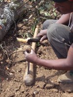種子を割る様子
種子を斧の刃にのせて木片でたたいてわる。中にはラッカセイのような仁が二つ入っている。
Report
■Date taken: 2nd　Aug2010 
■Place: Mbozi, Mbeya, Tanzania
■Taken by: Kana Yamamoto 