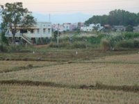 Cultivable area being converted in to residential buildings – Rajagampiram village(Date taken:Feb 22，2009 / Place: / Taken by Dr.R.Arunachalam, Assoc. Professor)