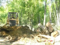 Extraction of the timber roads
Report(Date taken:  / Place:  / Taken by )