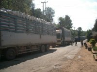 Sugar Exported from Laos to China, Muang Sing, Luang Namtha Province (Jan. 2008, Mr. Shinichi Kawae)