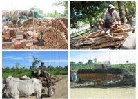 Income source of each household from fuel wood marketing
  Report
(Date taken:2004 / Place:Kampong Speu(Left), Kam pot(Right) / Taken by KIM Soben)