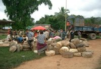 Selling Rubber Latex in a village, Luang Namtha District, Luang Namtha Province (Jun. 2008, Mr. Shinichi Kawae)