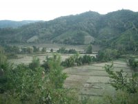Indigenous Livelihood –Mountain, River, Paddy, and Buffalo, Luang Prabang Province (Jan. 2008, Mr. Shinichi Kawae)