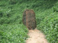 What’s This??, Luang Namtha District, Luang Namtha Province (Jun. 2008, Mr. Shinichi Kawae)